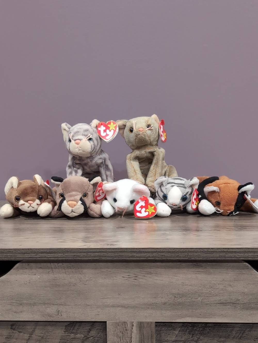 Ty Assorted Plush Cat Beanie Babies